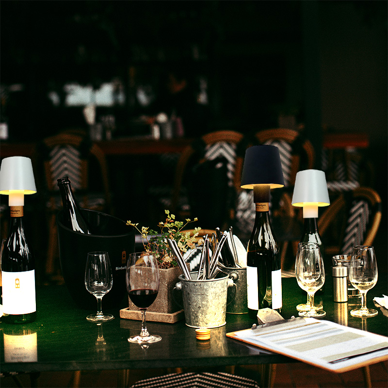 Home Decor Dimmable Rechargeab - Wine & Beer Hydrometer recensie en prijs